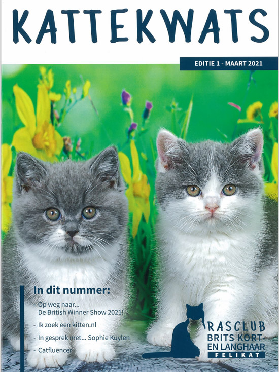kattenkwats editie 1 2021